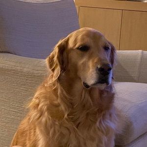 Meet your Posher, Holly